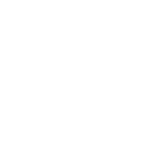 nieuwe-stempel 2